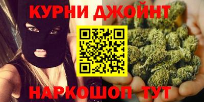 трава Кингисепп