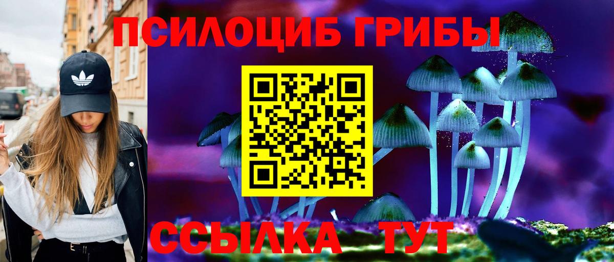Кинешма  Галлюциногенные грибы Psilocybine cubensis  Вход с VPN  Галлюциногенные грибы Psilocybine cubensis 